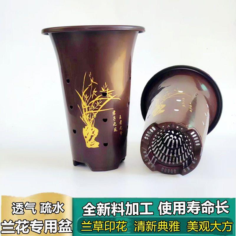 兰花盆兰草专用盆盘大号