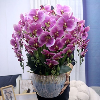 仿真花特大号手感PU蝴蝶兰盆栽客厅装饰花电视柜玄关假花前台摆件