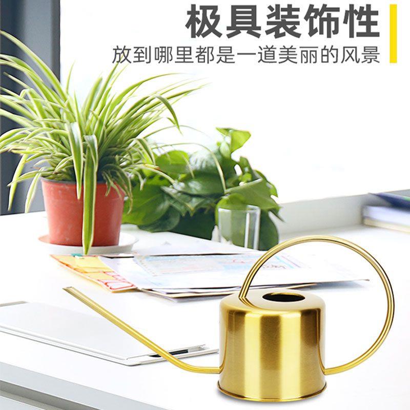 多肉植物长嘴浇花壶家用
