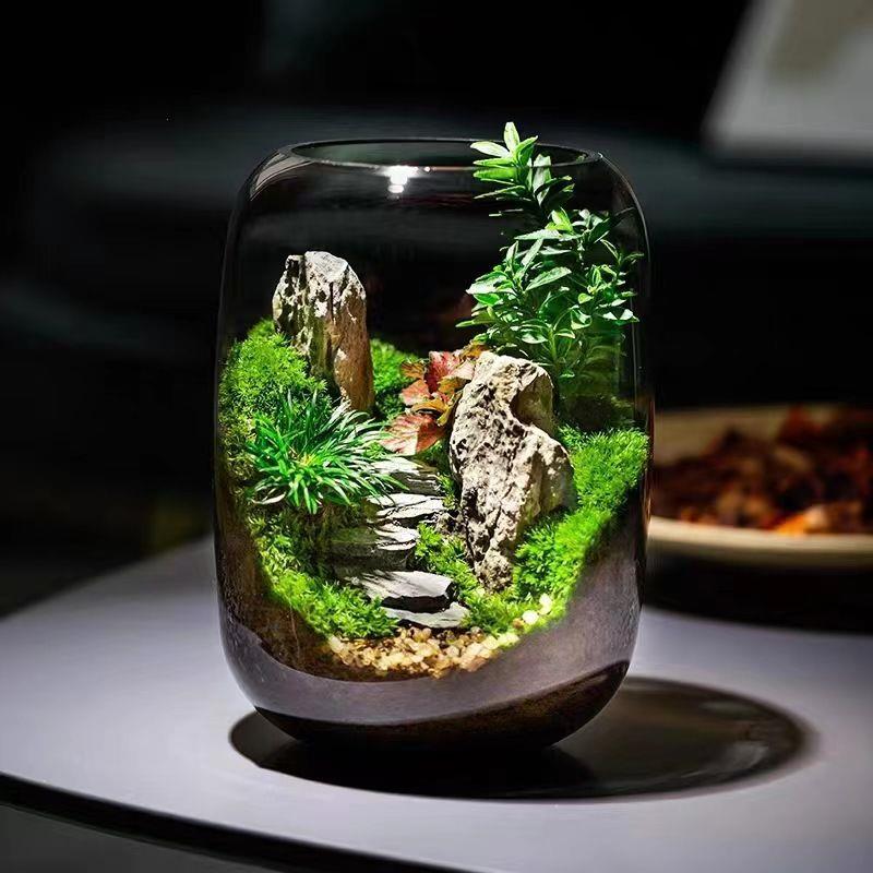 创意苔藓微景观步步高升