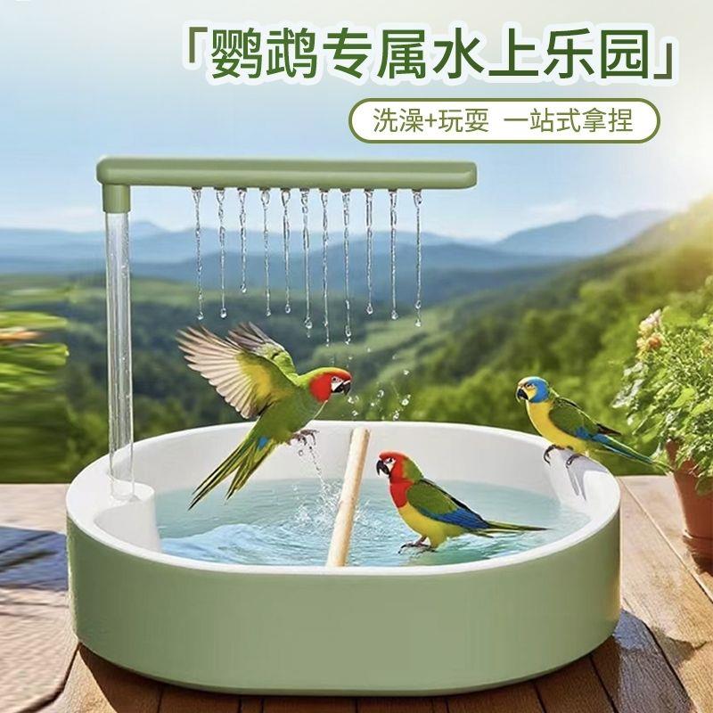 鹦鹉洗澡盆自动循环过滤
