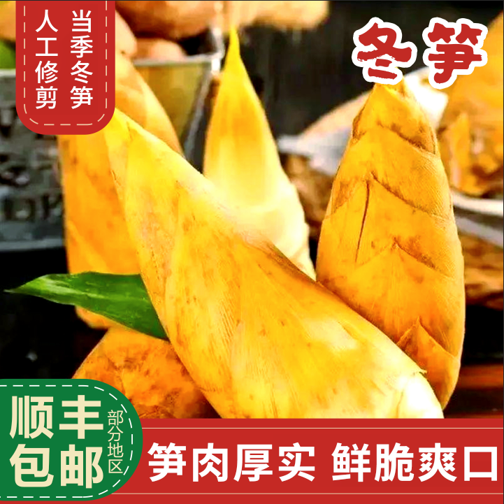 农家冬笋新鲜笋尖笋子杭州野生冬笋现挖现发浙江当季新鲜蔬菜冬笋