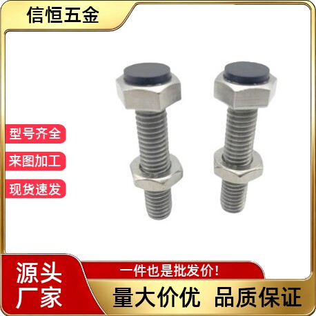 TDB96 SUSRT6/8-20/25/30/35/40/45/50/60不锈钢粗牙螺纹止动螺栓
