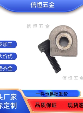 偏心销 LLTA3/ LLTA5/ ICE31-T3/ ICE31-T5定位销直线导轨用简易