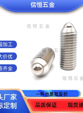 ZAH51/ZAH52/ZAH53/BMSL/BSML/BSZL3/4/5/6/8/10/12/16球头柱塞