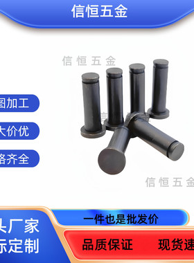 MIC11-D4-L10 L12 L14 L15 L16L18 L20 L22L24 L25 L30带肩铰链销