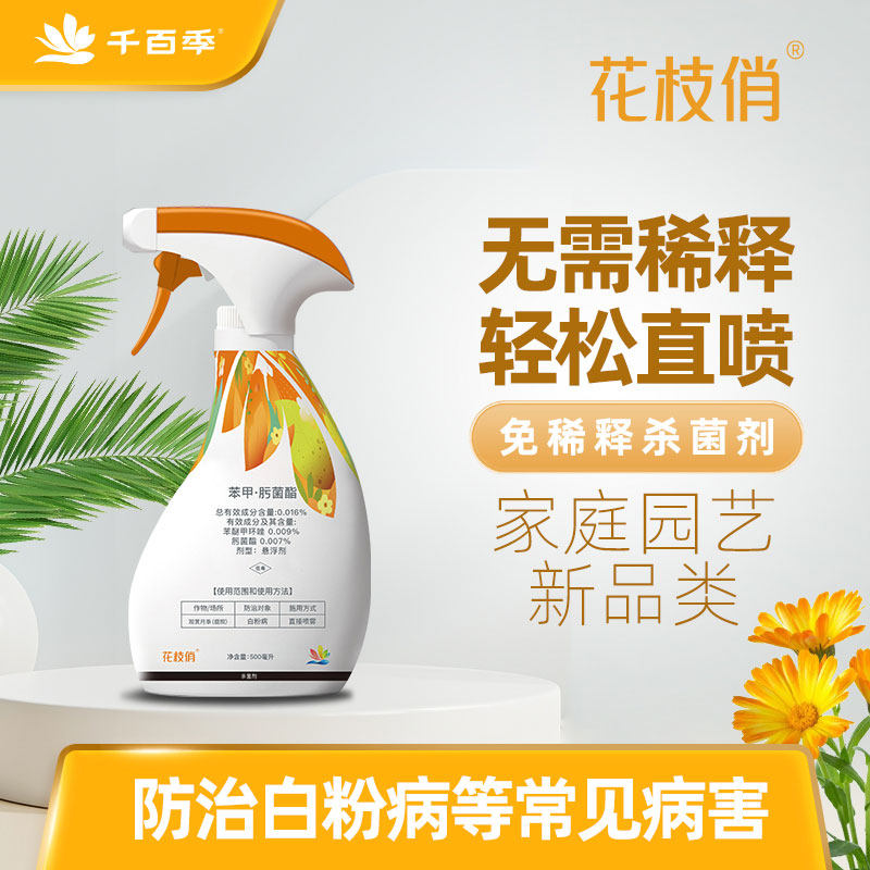 千百季花枝俏苯甲肟菌酯免稀释植物杀菌剂黑斑白粉病专用药