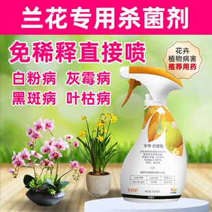 千百季花枝俏植物通用免稀释杀菌剂月季白粉病花药花卉除菌家用