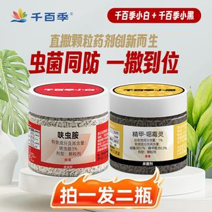 千百季小黑精甲恶霉灵土壤专用杀菌剂花卉多肉黑腐病根腐病