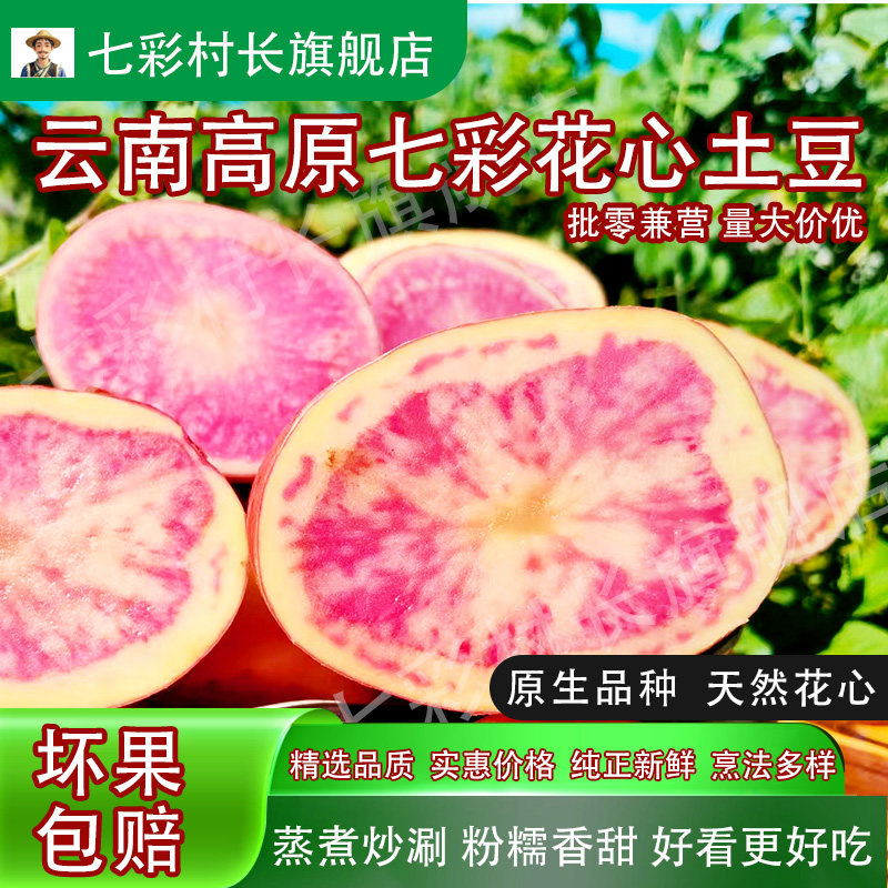 云南高山七彩土豆5/20斤七彩村长彩色高花青素土豆新鲜火锅食材