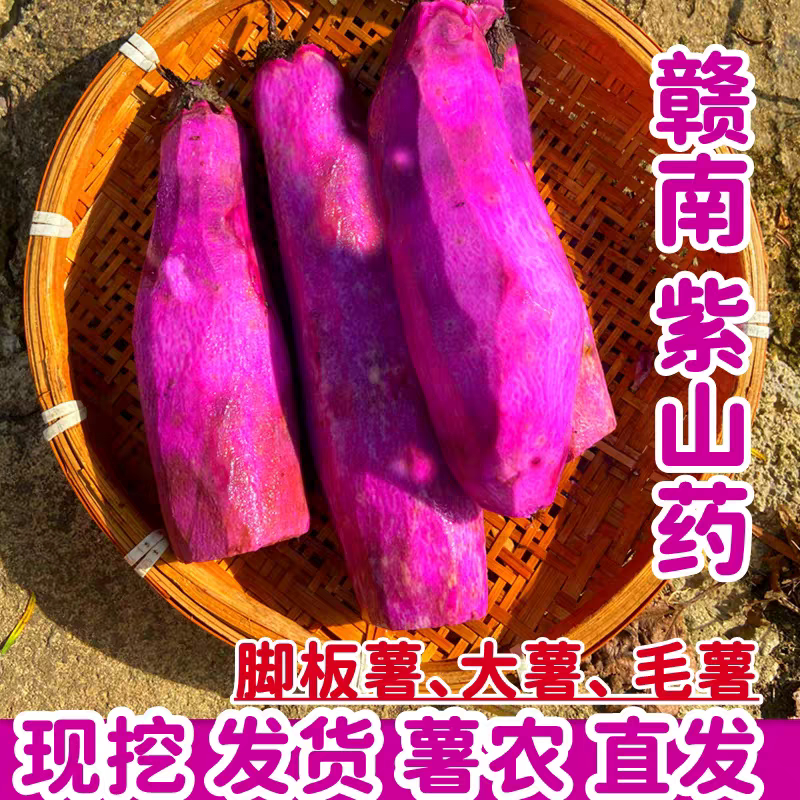 赣南当季新鲜紫山药5斤
