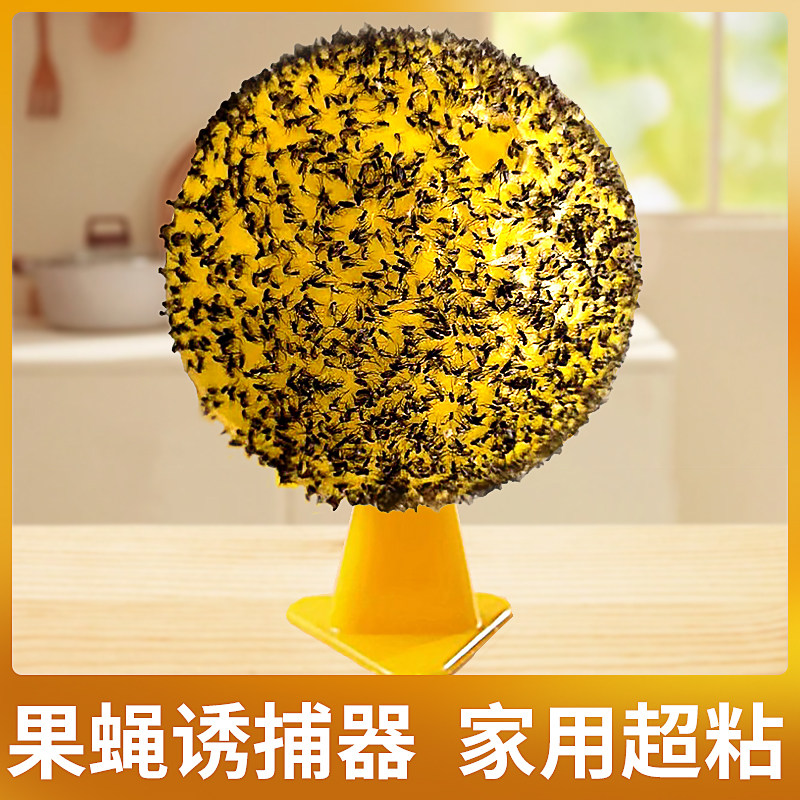 果蝇诱捕器粘虫球l诱苍蝇小飞虫室内室外摊位厨房农村灭蝇神器