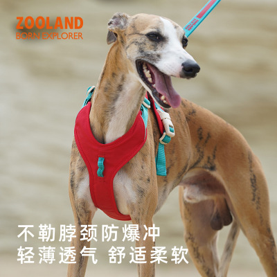 ZOOLAND狗狗胸背牵引绳小中大型犬遛狗工字型不勒脖专用宠物链子