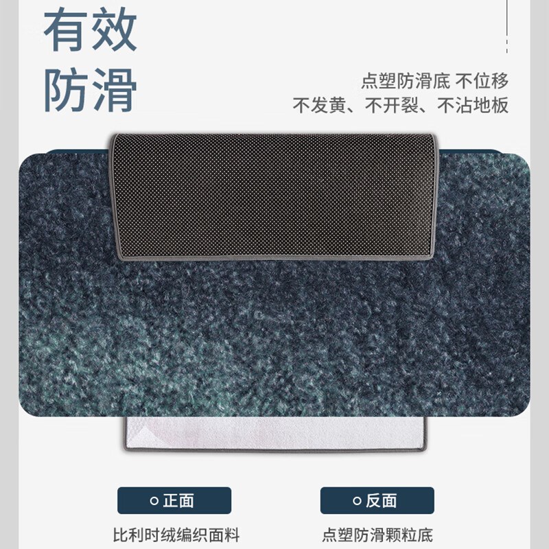 入户门地垫家用进门脚垫防滑客厅地毯进门口垫子轻奢高级可裁剪