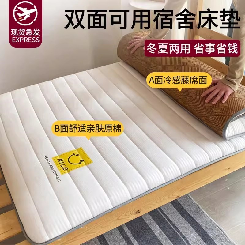 可定制冬夏两用冰藤o凉席床垫软垫榻榻米床褥垫单人学生宿舍床垫