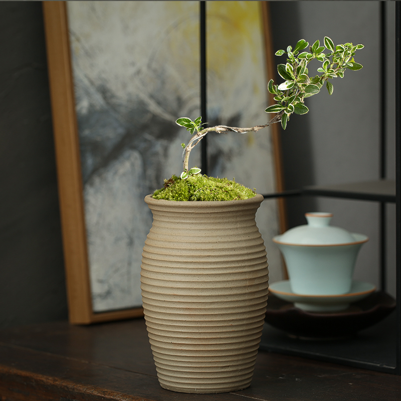 粗陶透气素烧多肉花盆陶瓷简约创意螺纹大小口径盆栽绿植多肉老桩