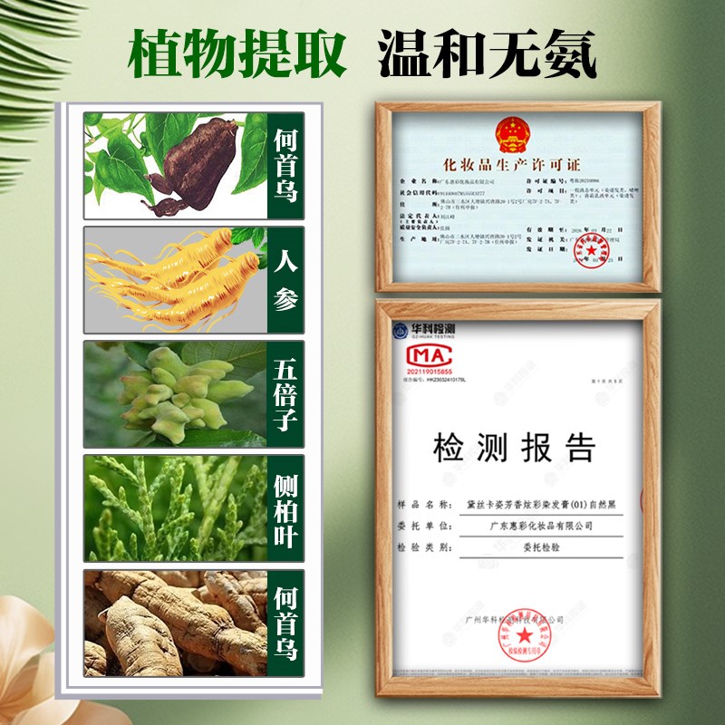 五贝子植物染发剂2024流行色脏橘奶茶栗棕色黑色纯自己在家染发膏