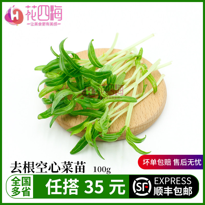 新鲜空心菜苗 食用芽苗菜 西餐日料酒店冷盘装饰配菜 冷艺花草
