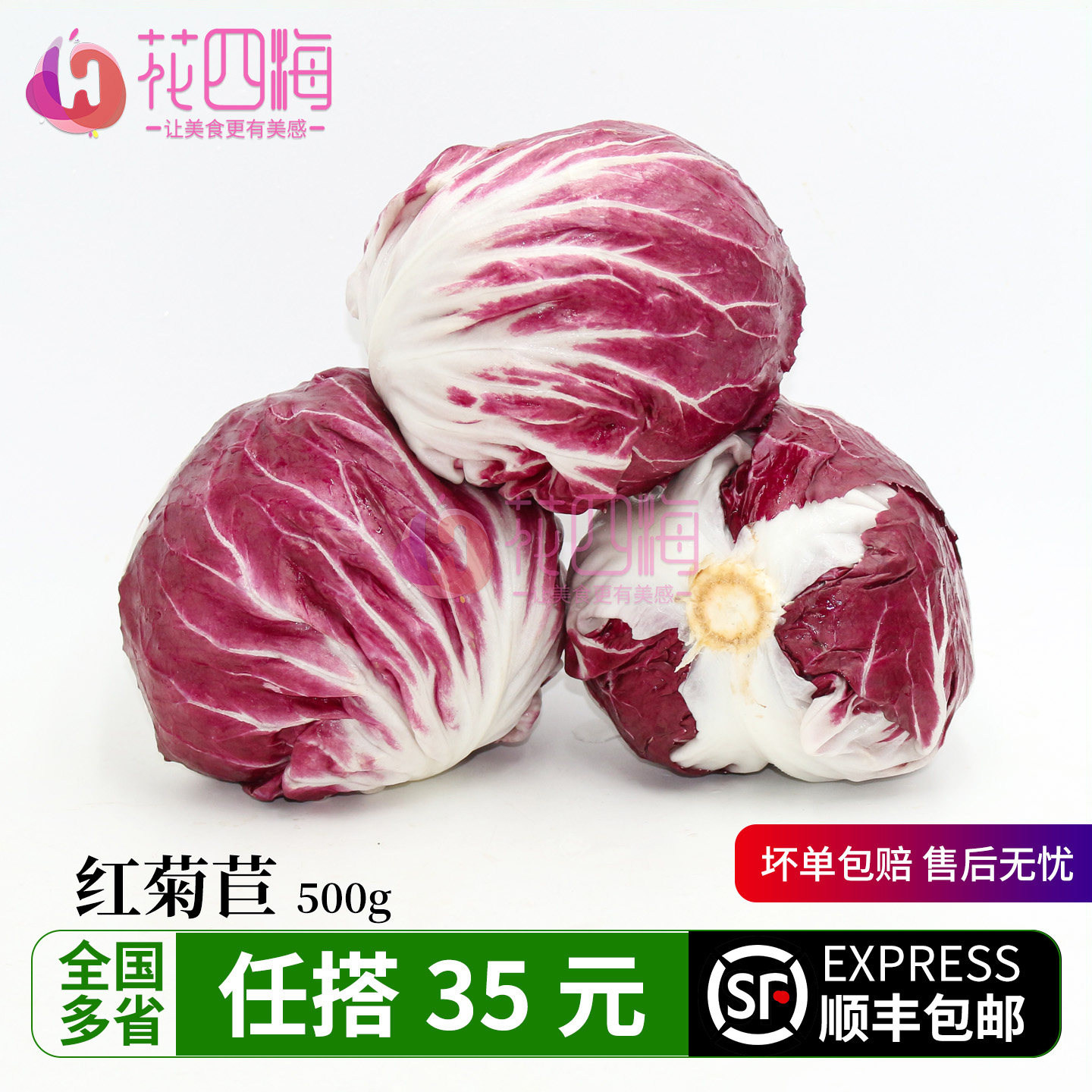 新鲜红菊苣500g 微苦回甘沙拉菜配菜 结球意大利西餐食材紫红纹路