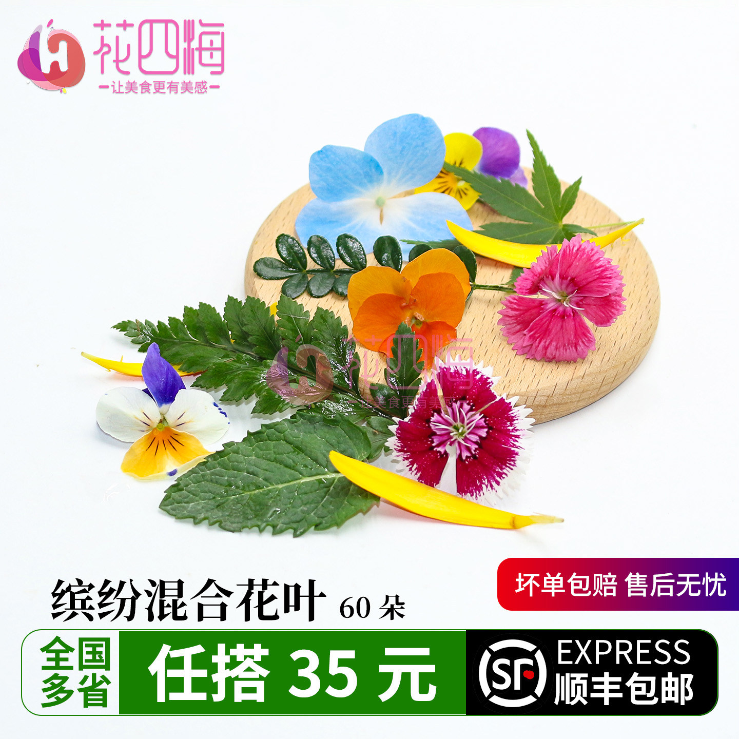 新鲜缤纷混合花草 薄荷 芒叶清香木西餐摆盘菜装饰餐饮摆盘鲜花草