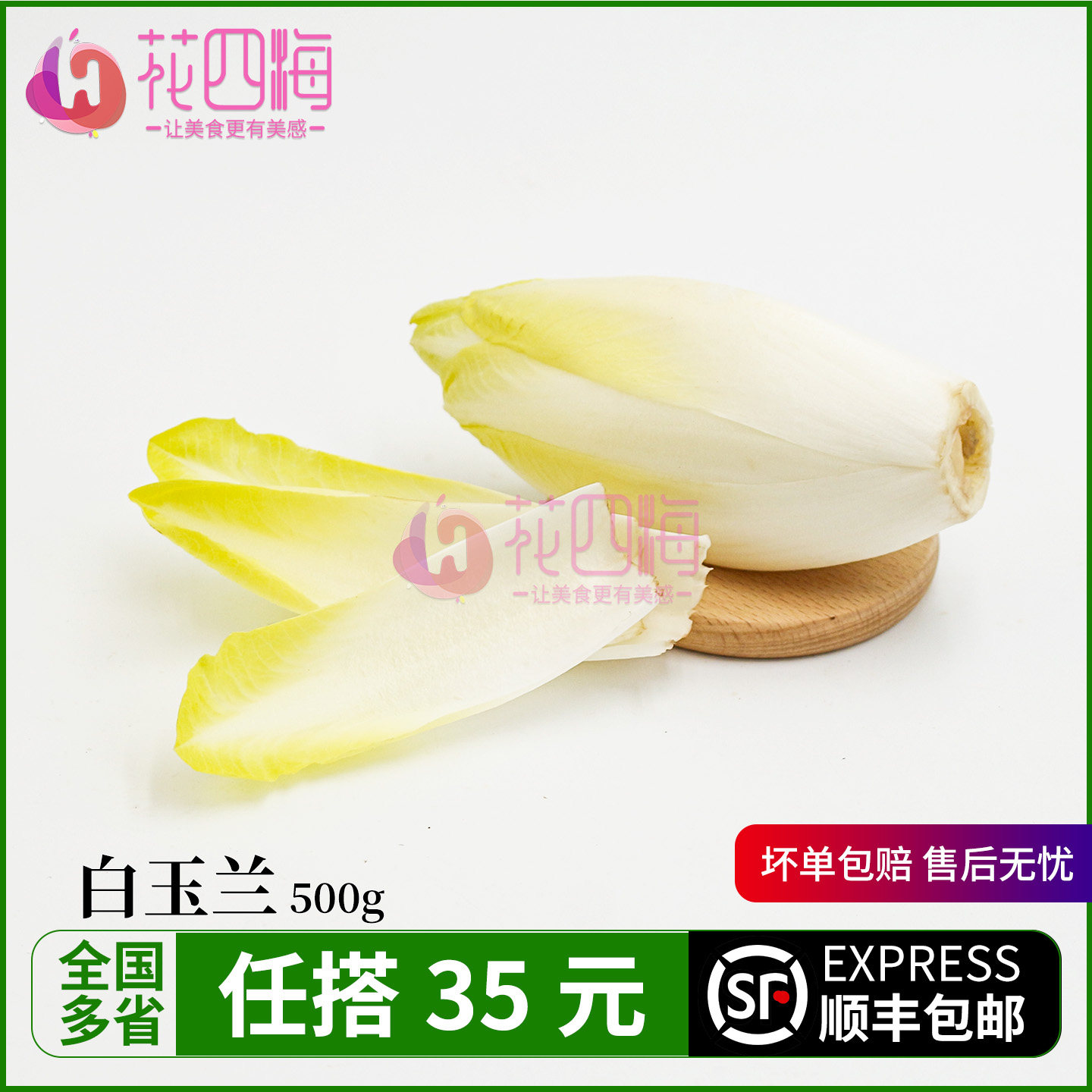新鲜玉兰菜250g 白玉兰软化菊苣 菊心芽球 金玉兰菜 高级沙拉食材