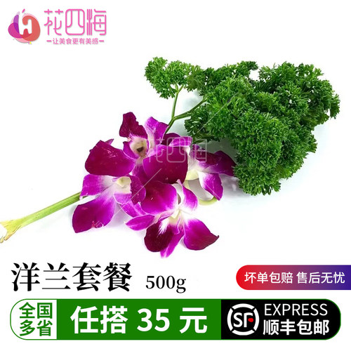 新鲜杨兰花荷兰芹火锅烤肉摆盘