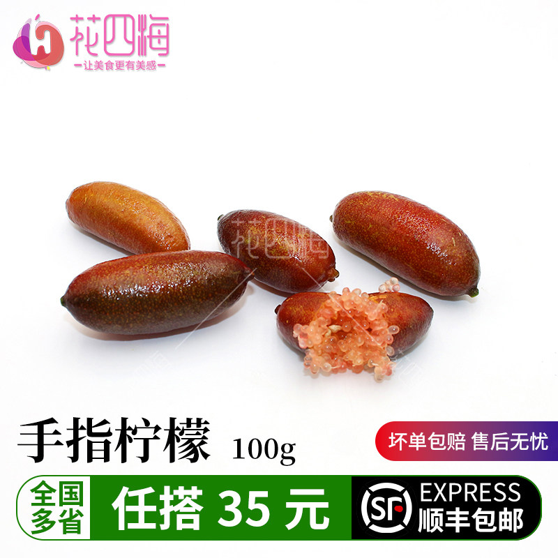 新鲜指橙 手指柠檬100g  西餐摆盘菜装饰餐饮冷盘摆盘鲜花草