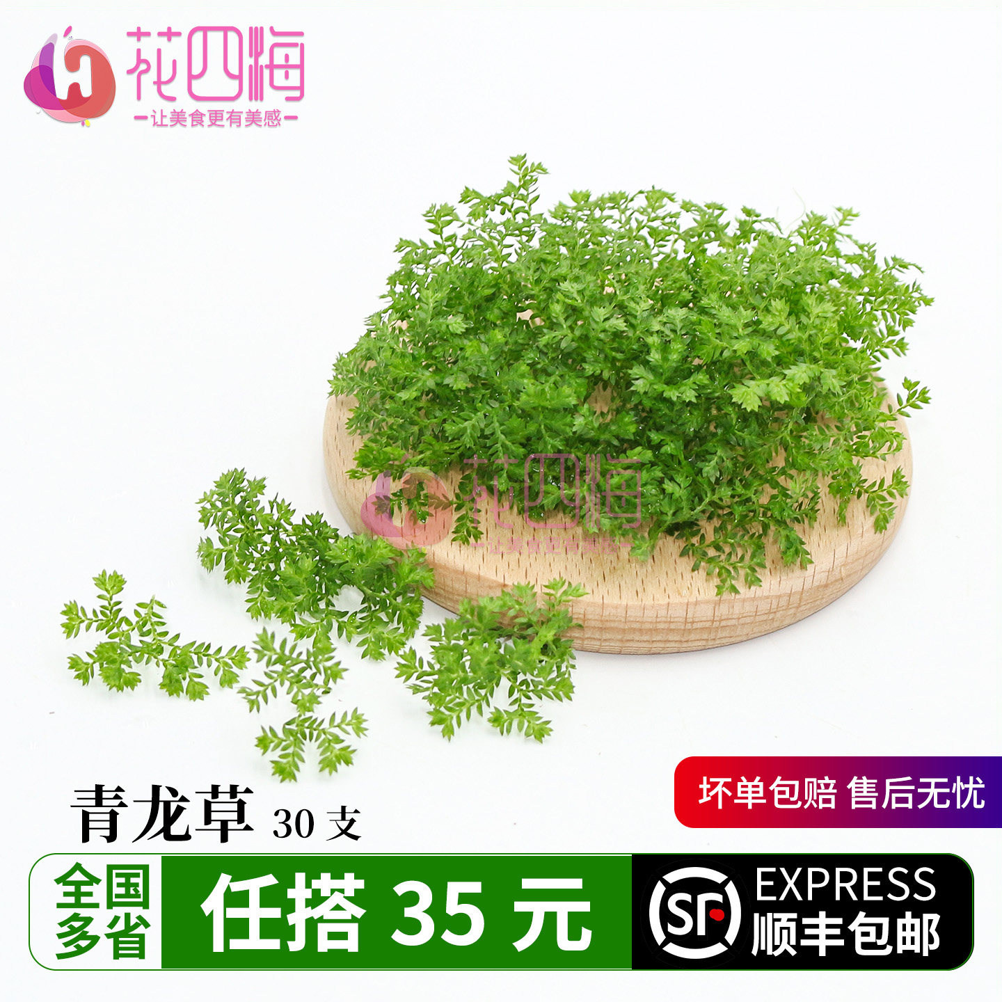 新鲜 绿毛草 青龙草 绿地球 酒店西餐日料冷艺烘焙摆盘装饰点缀