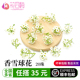 新鲜白色香雪球微型小白花酒店西餐冷艺日料摆盘装 饰花草点缀