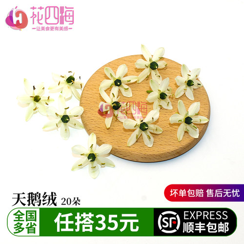 新鲜天鹅绒白色小花西餐酒店摆盘日料蛋糕烘焙酒水装饰点缀鲜花草