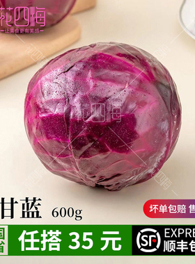 紫甘蓝600g紫包菜紫色球生菜红紫椰菜新鲜沙拉食材卷心菜现采现发
