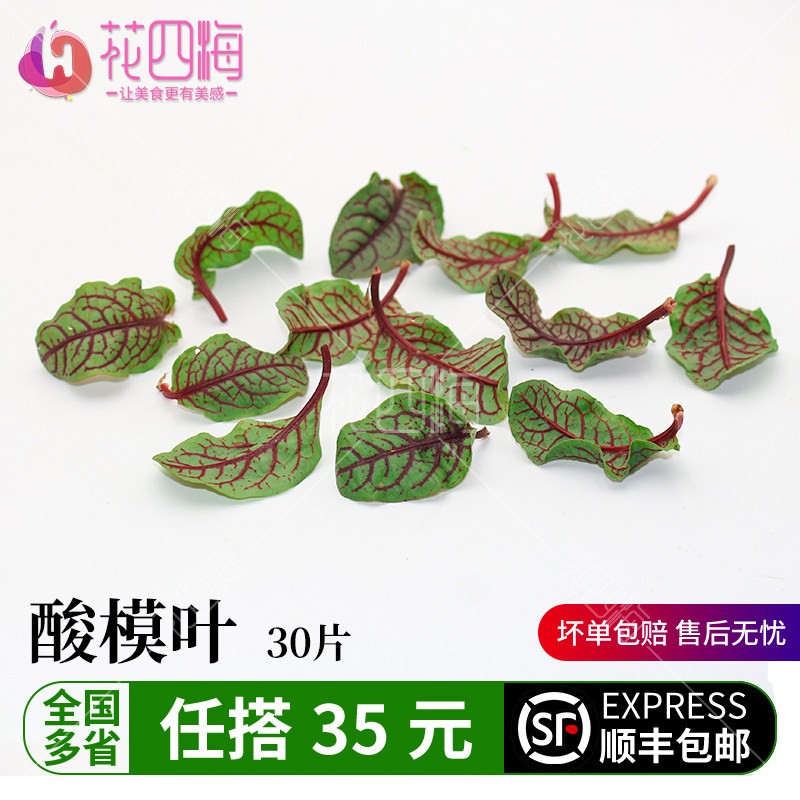 新鲜红脉酸模叶30片 大酒店西餐摆盘装饰花草特色配菜 红丝酸膜叶