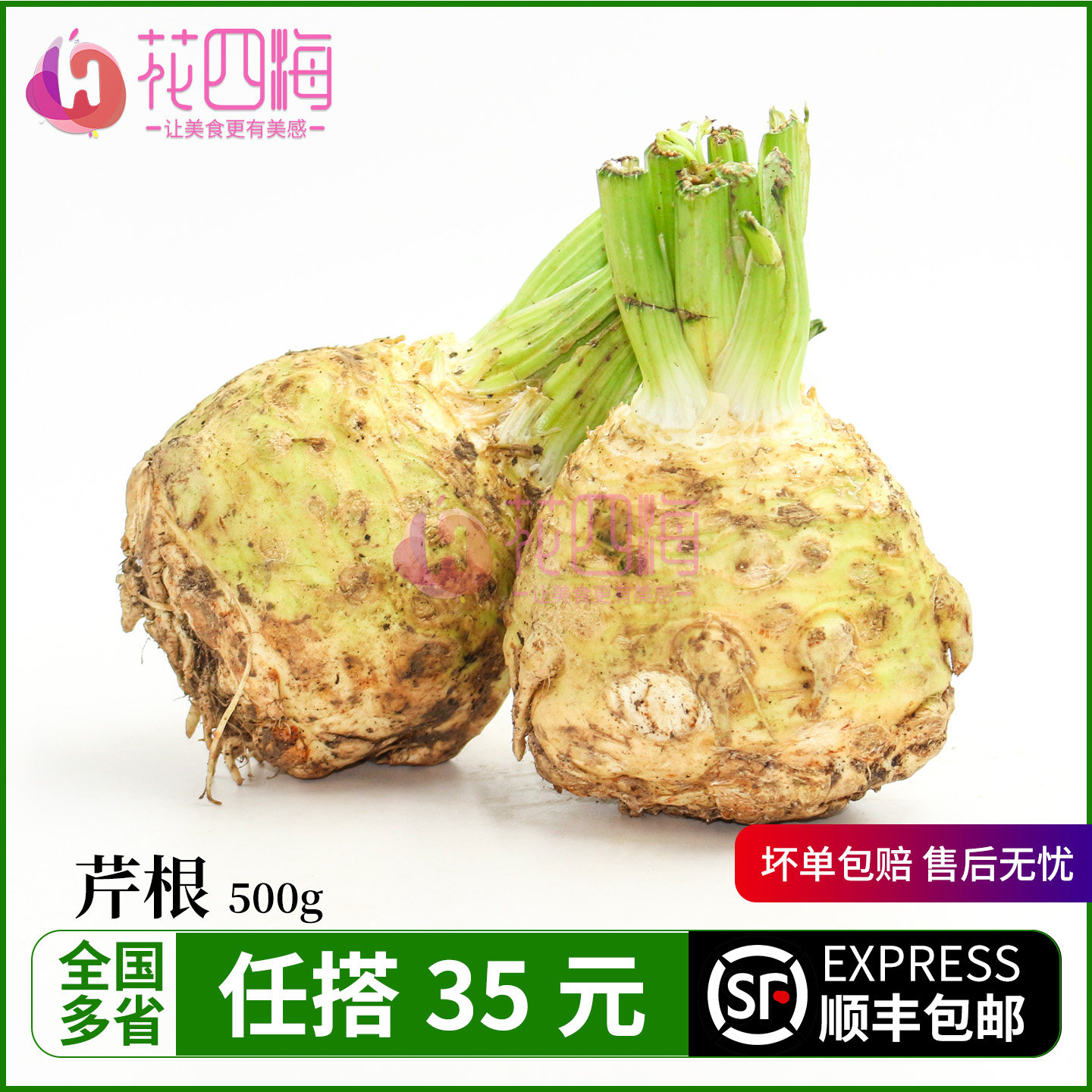 根芹 芹菜根500g 新鲜西餐食材 块根芹 celeriac炖汤浓汤沙拉蔬菜