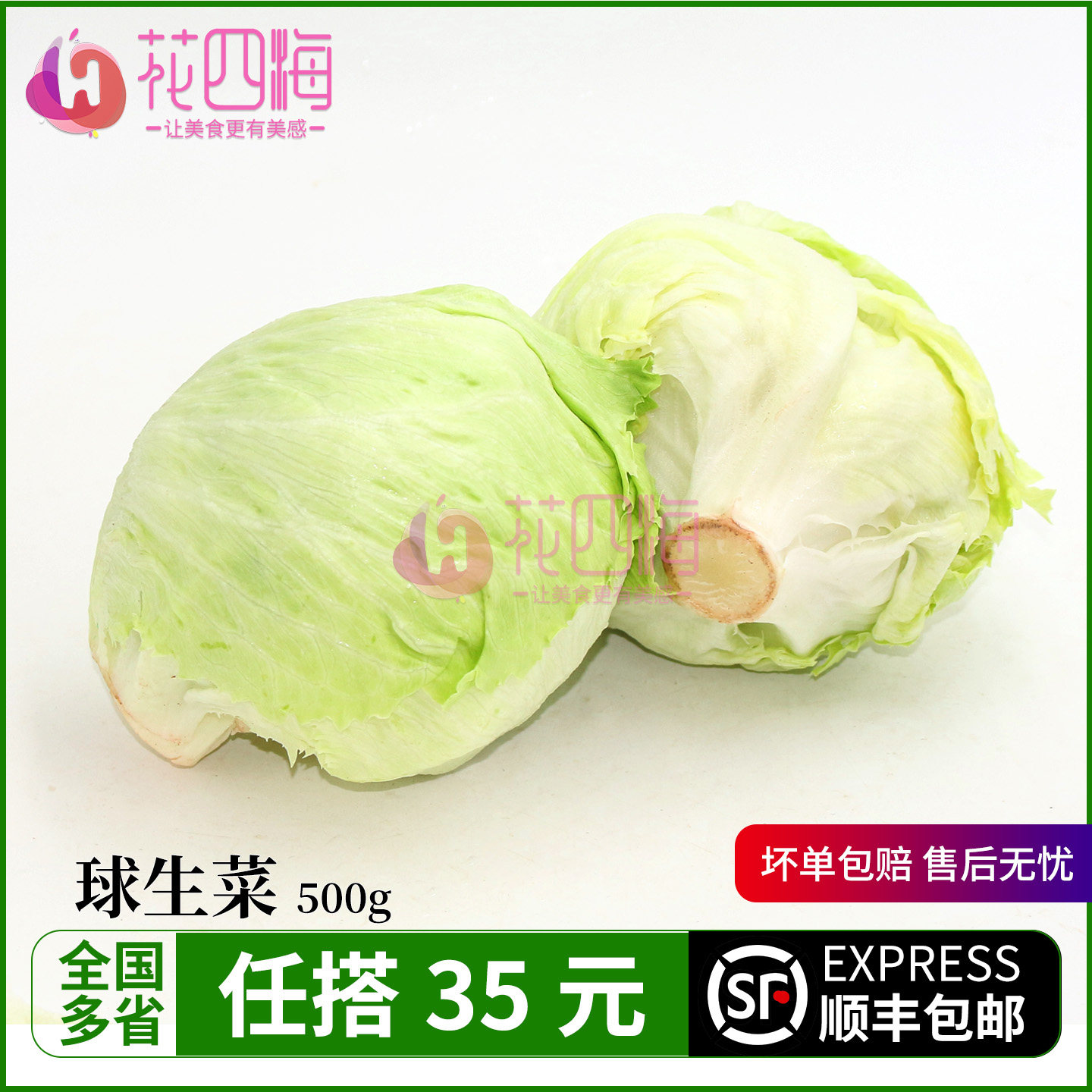 新鲜球生菜500g 西生菜 汉堡专用圆生菜1斤 西餐沙拉蔬菜火锅食材