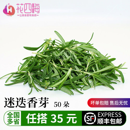新鲜迷迭香价优蛋糕西餐牛排点缀