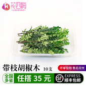 新鲜胡椒木10支带枝清香木蛋糕烘焙西餐装 饰叶子海鲜刺身造景装 饰