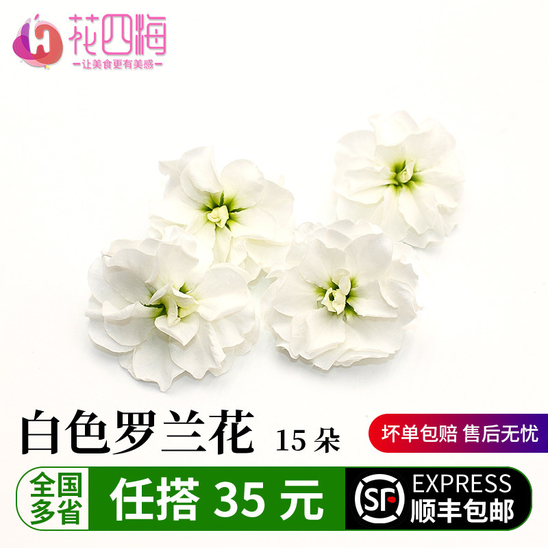 白色摆盘装饰花草罗兰花西餐摆盘蛋糕烘焙装饰餐饮摆盘鲜花草新鲜
