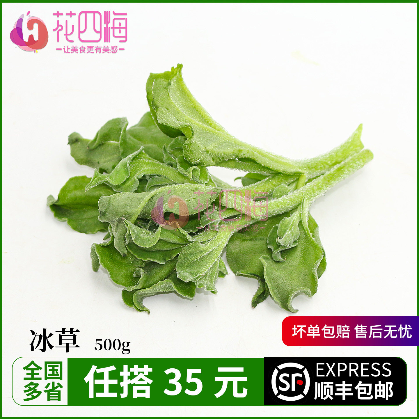 新鲜冰草冰菜 500g 即食生吃沙拉凉拌菜 火锅伴侣蔬菜 自带水晶珠