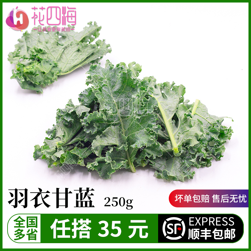 新鲜采摘羽衣甘蓝榨汁沙拉食材