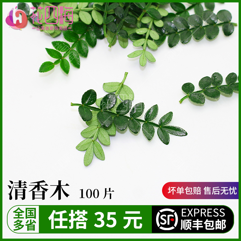 24小时发货 清香木胡椒木叶 提拉米苏甜品蛋糕装饰叶子 冷菜摆盘
