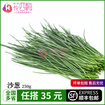 新鲜沙葱250g香葱 新鲜蔬菜 辛香脆爽美味可口野菜下饭菜现摘现发