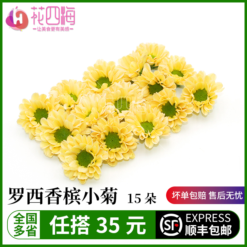 新鲜彩菊 罗西香槟小菊15朵 日料西餐酒店西餐摆盘装饰点缀花草