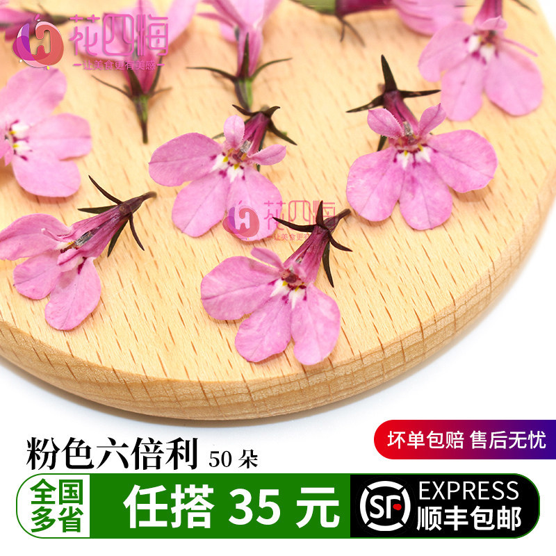 新鲜六倍利粉色半边莲蓝星花西餐日料蛋糕烘焙酒店摆盘装饰点缀,水产肉类/新鲜蔬果/熟食,其它,淘宝优惠券,粉丝福利购,淘宝优惠卷