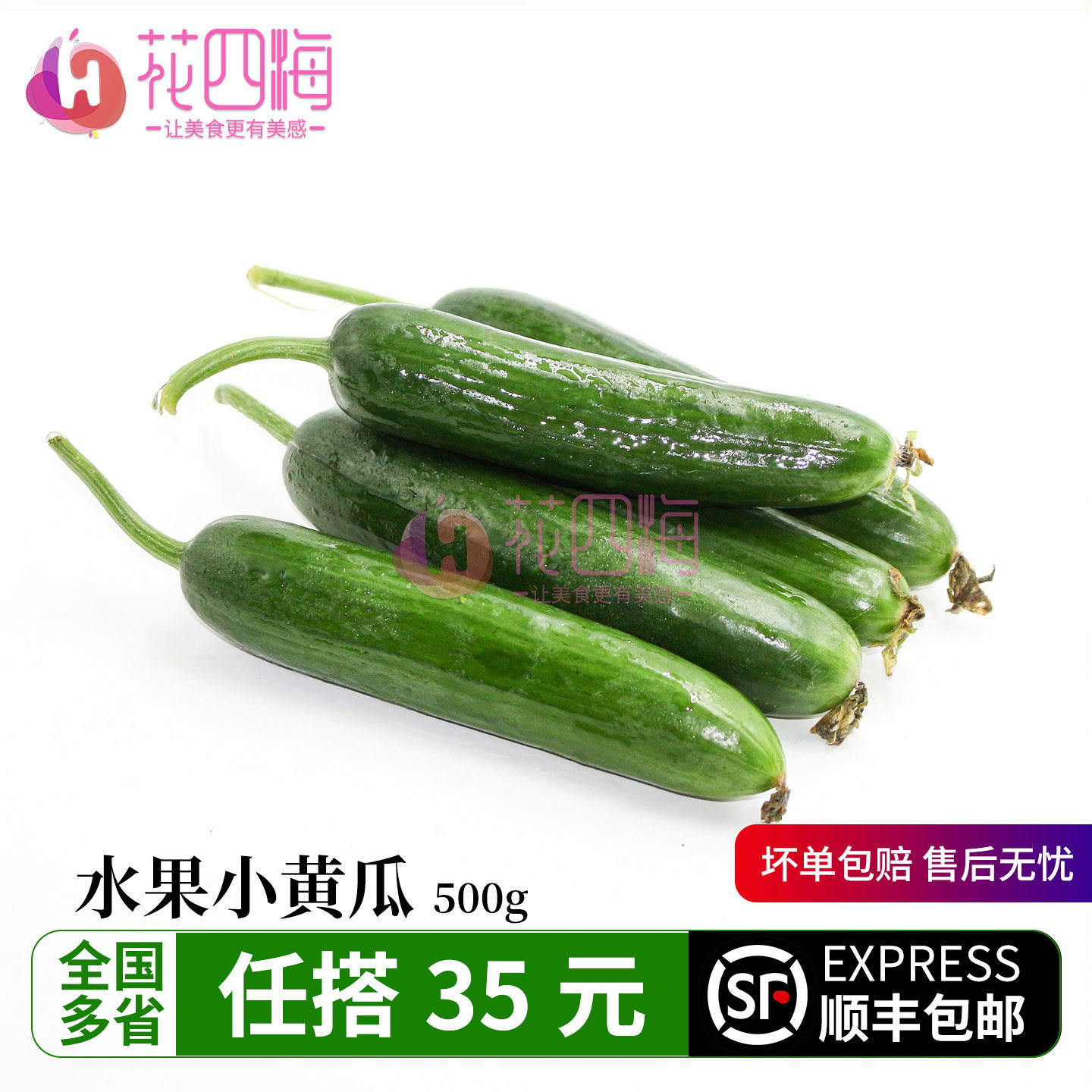 新鲜小黄瓜 荷兰小黄瓜 迷你黄瓜水果黄瓜 无刺孕妇蔬菜 基地直发