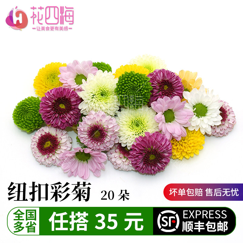新鲜纽扣彩菊西餐摆盘装饰
