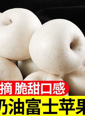 正宗奶油富士苹果白色 新鲜脆甜多汁黄金富士香甜当季糖心冰糖心