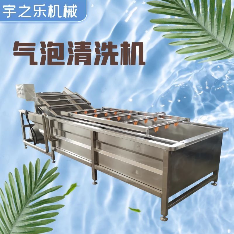 橘子果蔬清洗机 枸杞大枣气泡清洗机 大姜竹笋清洗设备