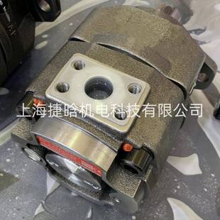 NS22 QT62 住友SUMITOMO齿轮泵 63F2 125F 伺服油泵 QS5G