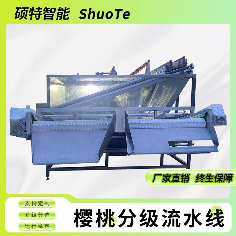 硕特不锈钢樱桃分选机果蔬重量分拣机价格山东选果机厂家全自动
