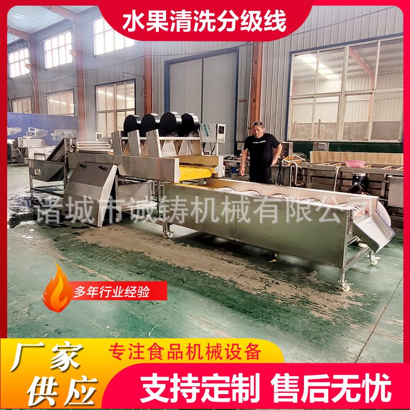 定制全自动水果清洗打蜡分级果蔬生产线芒果选果苹果清洗机